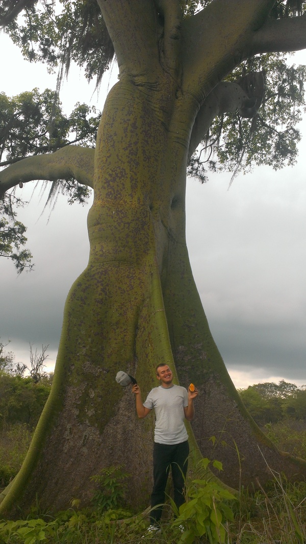 Royal rest - My, Travels, Survival, Brazil, A bike, Longpost