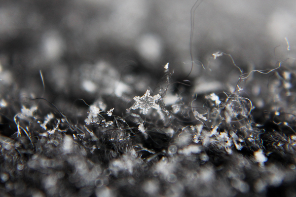 Snowflakes - My, Photo, Snowflake, My, Canon 1100d, Longpost