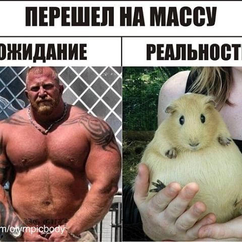 Масса - Протеины, Масса, Качок, Ожидание и реальность