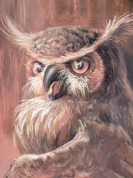 OWL - My, Art, Art, In the animal world, Owl, Drawing, Pastel