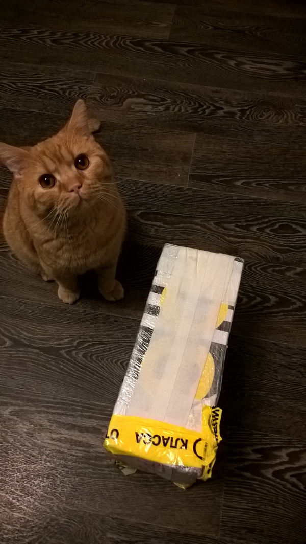  .  ,  , , , , , 