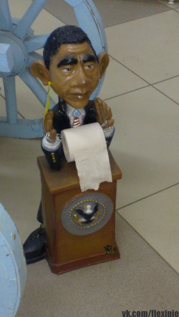 Walked through the store, and here ... toilet paper holder with Obama. - My, Barack Obama, cat, Politics