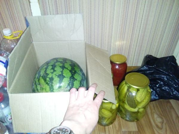 My belated New Year's Eve. - New Year, Longpost, Watermelon, My, Interesting