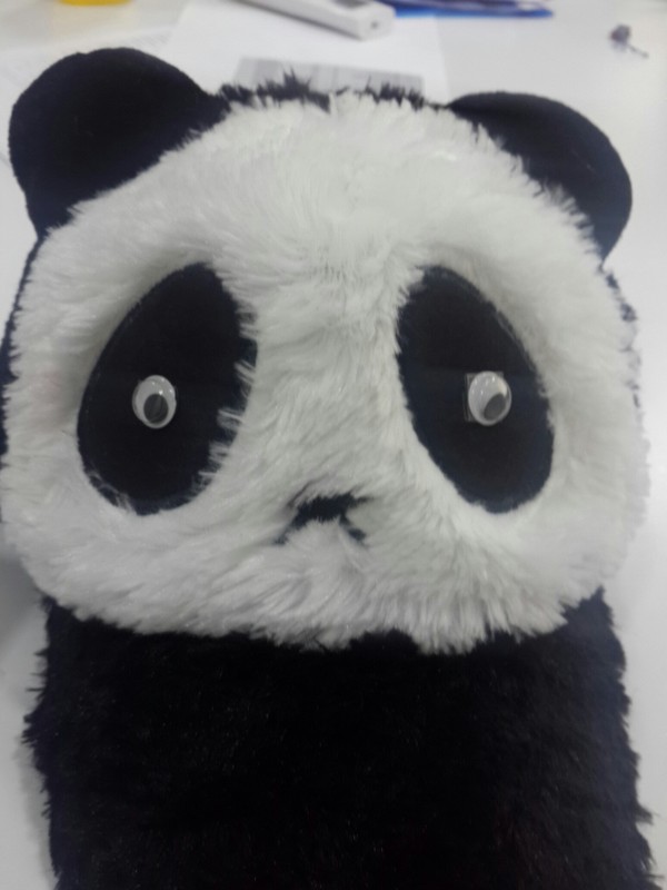 My girlfriends new hat scared the crap out of me - My, Hat, Panda