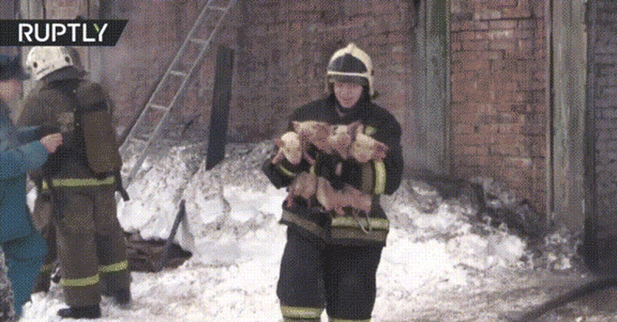 Фото пожарных на пожаре приколы