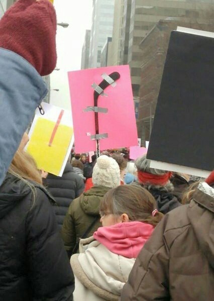 Rally in Canada. - Canada, Hockey stick, Interesting, Rally