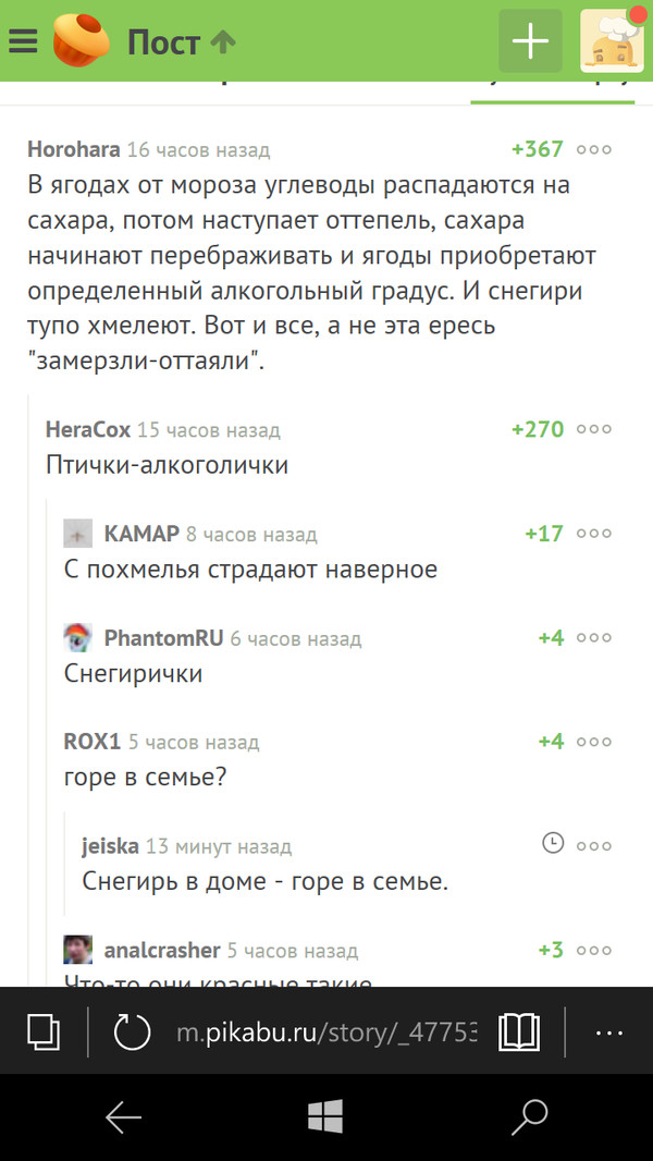 ������-�����������