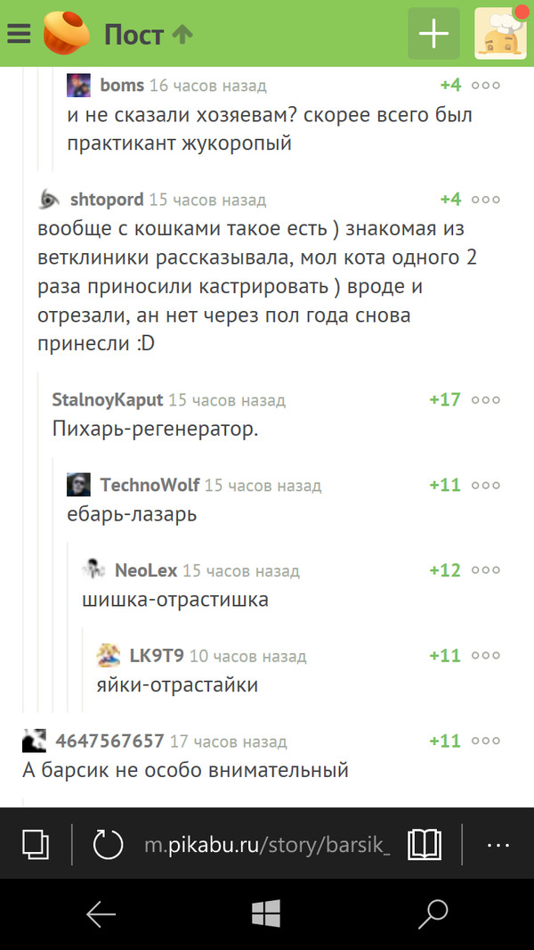 �����-����������