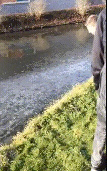 !      ...