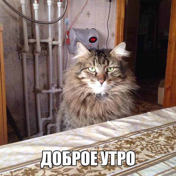  -  { }. , , 