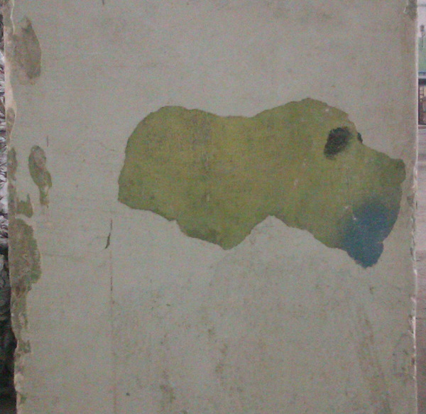 Dog. - , My, Wall, Dog