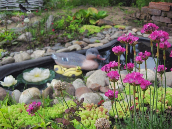 How I made a pond in my garden. - My, Garden, Pond, With your own hands, Longpost