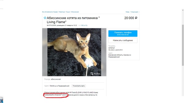 Улыбнуло...