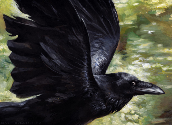 Art by kenket. Crow. [deviant art] - Art, Birds, Crow, Deviantart, Kenket