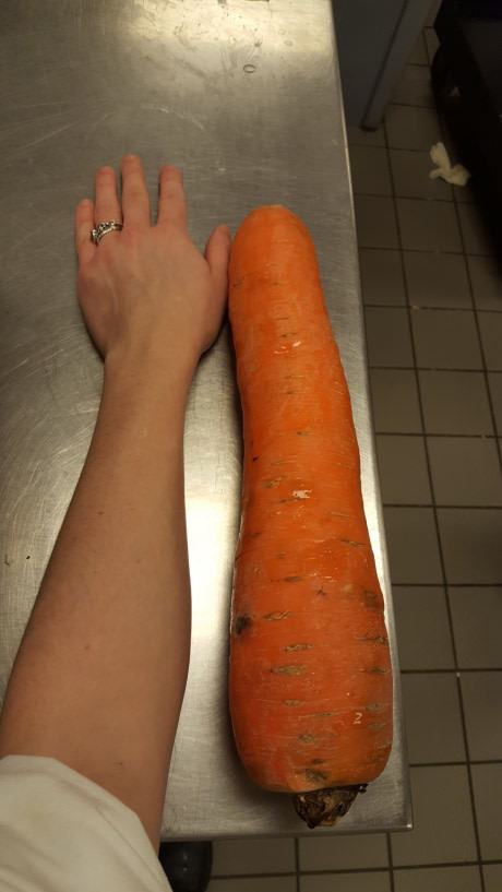 Секс-блюдо: морковка с яцами 6 - Фото из альбома: Личные фото