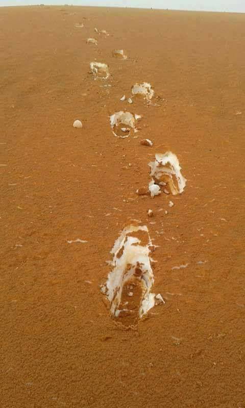Эта фотография сделана в Алжирской пустыне,песок покрыл снег и выглядит как Тирамису Песок, Тирамису, Снег