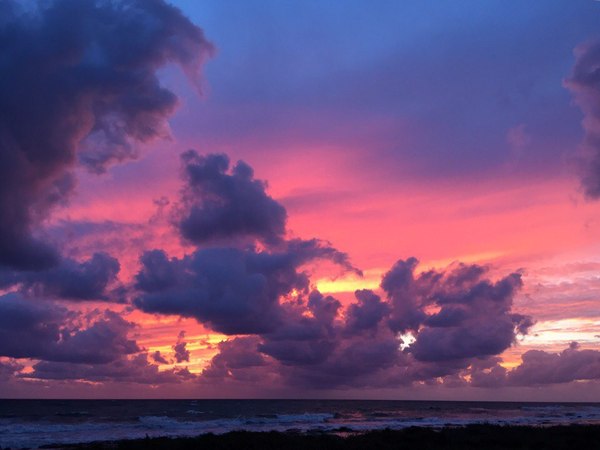 ���������, ����� ����������� ����