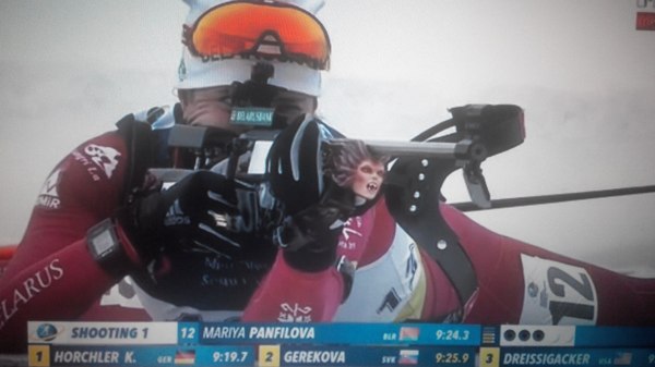 I watch biathlon - My, Biathlon, Rifle, , Dmitry guberniev