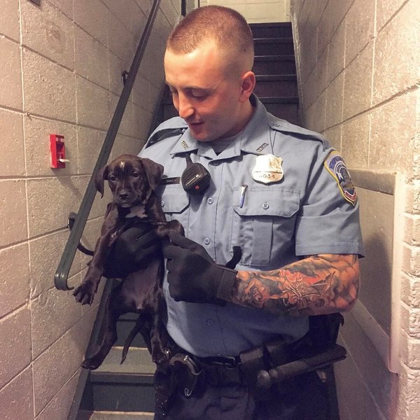 Police officer with future partner - Service dogs, US police, USA, Dog, Tattoo