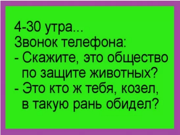 Котиков не будет - Без котиков, Защита животных