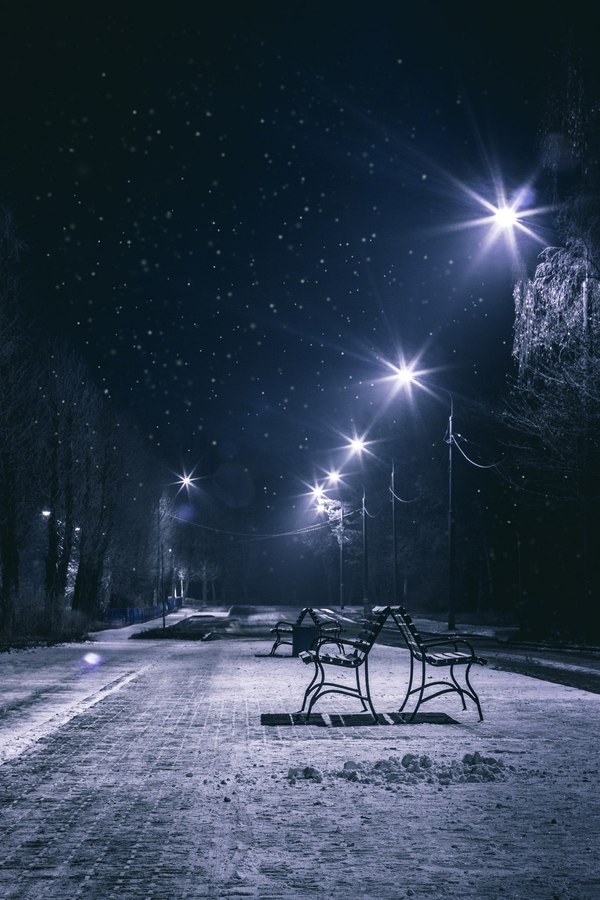 Silent night - My, The photo, Night, Winter, Benches