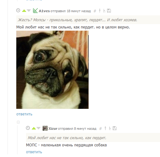 Comments - Brain, Pug, Comments, Dog
