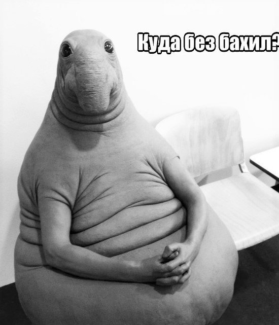 Doctor, what's wrong with me: the exhibit Zhdun conquered social networks - Memes, Zhdun, Elephant seal, Sculpture, Longpost