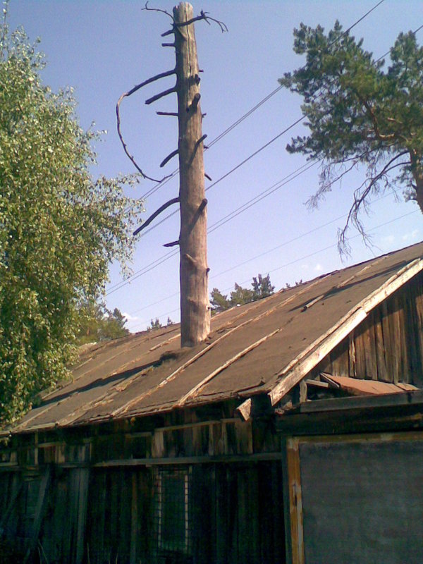 Ландшафтная архитектура