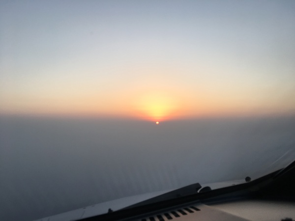 ������ ���� Pikabu