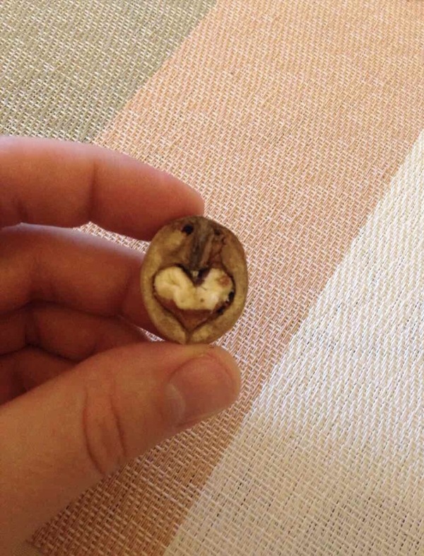 ����, ������� �����