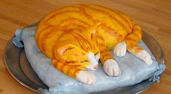 Торт с котом