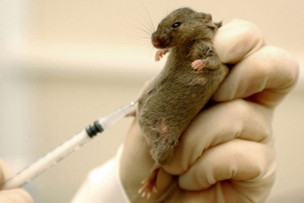 самый дорогой лук в мире для еды. Смотреть фото самый дорогой лук в мире для еды. Смотреть картинку самый дорогой лук в мире для еды. Картинка про самый дорогой лук в мире для еды. Фото самый дорогой лук в мире для еды самый дорогой лук в мире для еды. Смотреть фото самый дорогой лук в мире для еды. Смотреть картинку самый дорогой лук в мире для еды. Картинка про самый дорогой лук в мире для еды. Фото самый дорогой лук в мире для еды