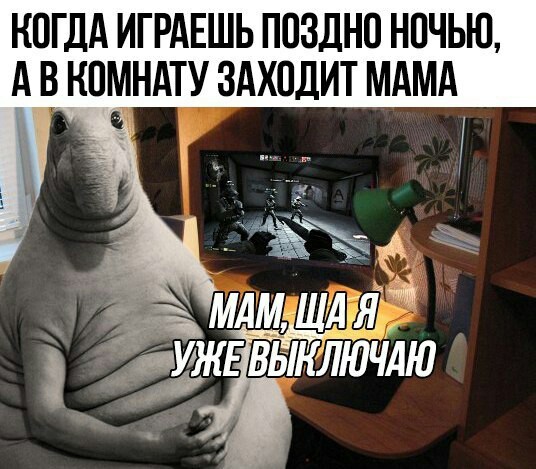 ���� ��������� ����� ����.