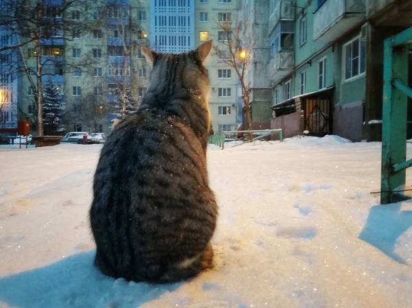 ������ �������!