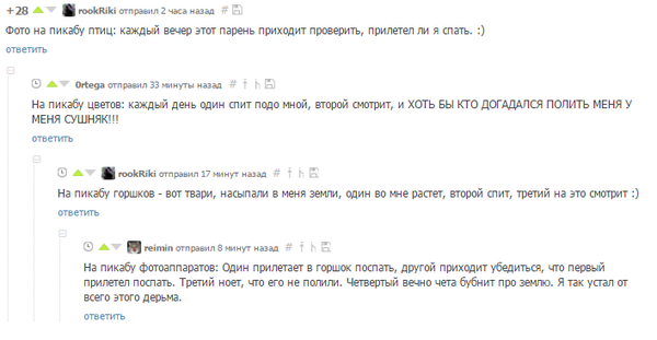 ����� ������ ������