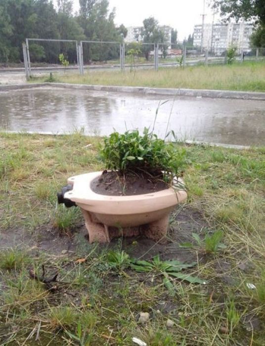 Reincarnation - Flower bed, Toilet