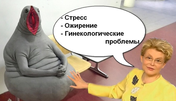 Не удержался...