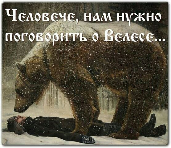 About conversations - Veles, The Bears
