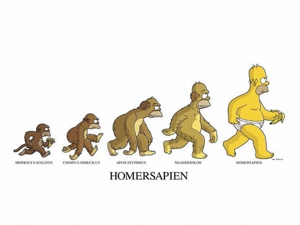 Human evolution from purgatorius to orrorin - My, Paleontology, Primates, Anthropogenesis, Evolution, The science, Ancestors, Longpost