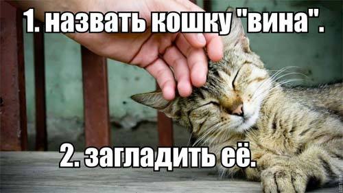 ���� �����������.