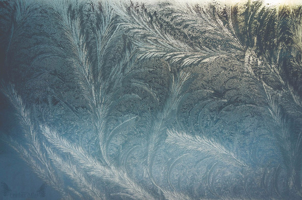 Frost patterns - My, Photo, Winter, freezing, Morning, Patterns, Window, beauty