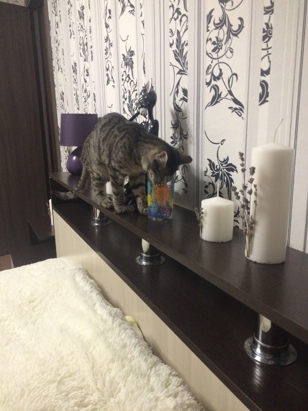 �, �������!