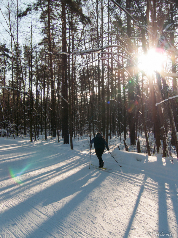 ski paradise - My, Skis, Photo, The sun, Ski track