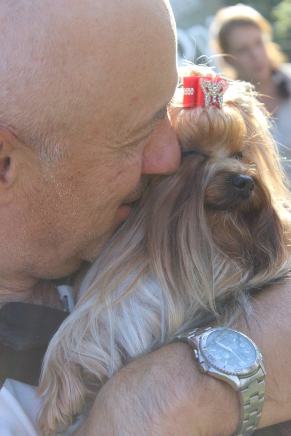 C������ �������