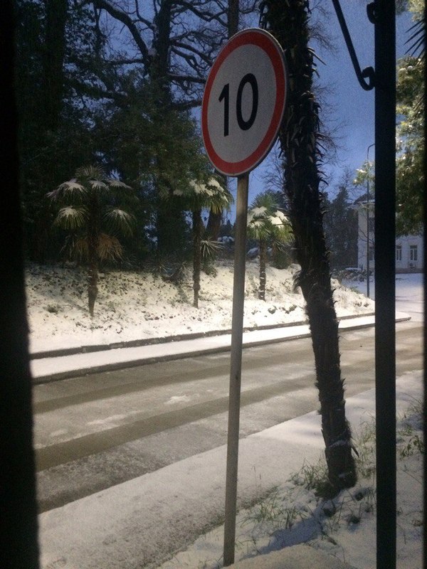 Every time I'm late for something - Road sign, Palm trees, Sochi