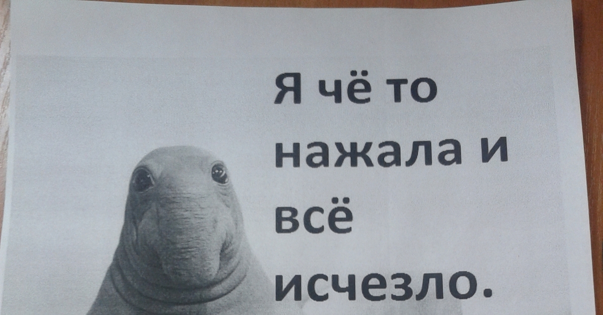 Все исчезло. Я что нажала и все исчезло. Что-то нажал и оно исчезло. Не нажимай все исчезнет.