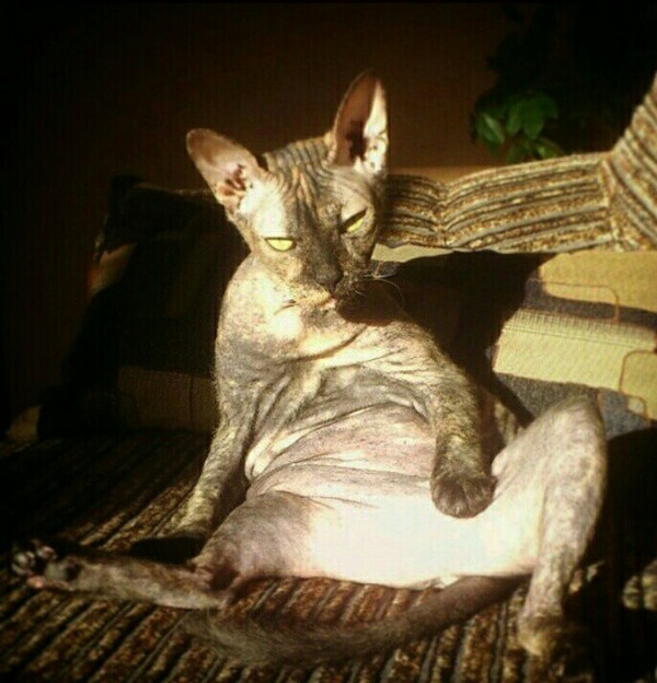 ������� �� �����?!