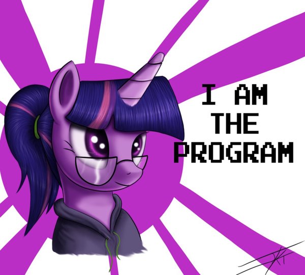 I Am The Program My Little Pony, Twilight Sparkle, 