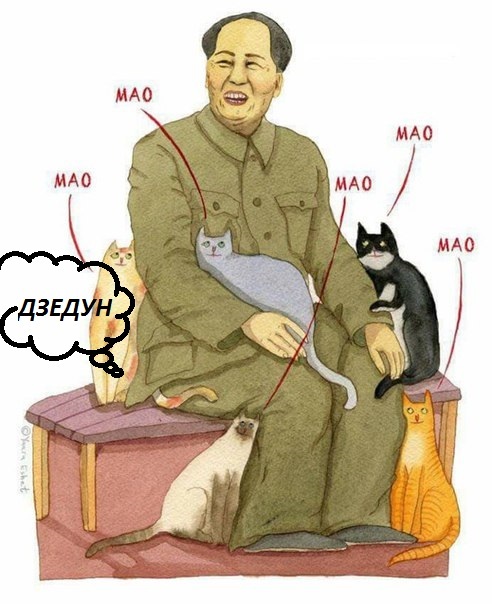 Mao Zedong - Mao zedong, cat, Subtle humor, , Procrastination, , Work, Dismissal