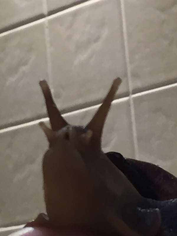    . , 